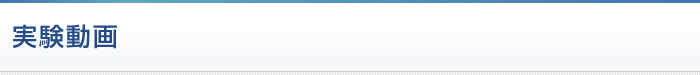 実験動画